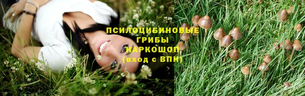 мяу мяу мука Костерёво