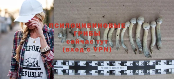 прущая мука Абаза
