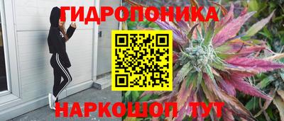 прущие крисы Канаш